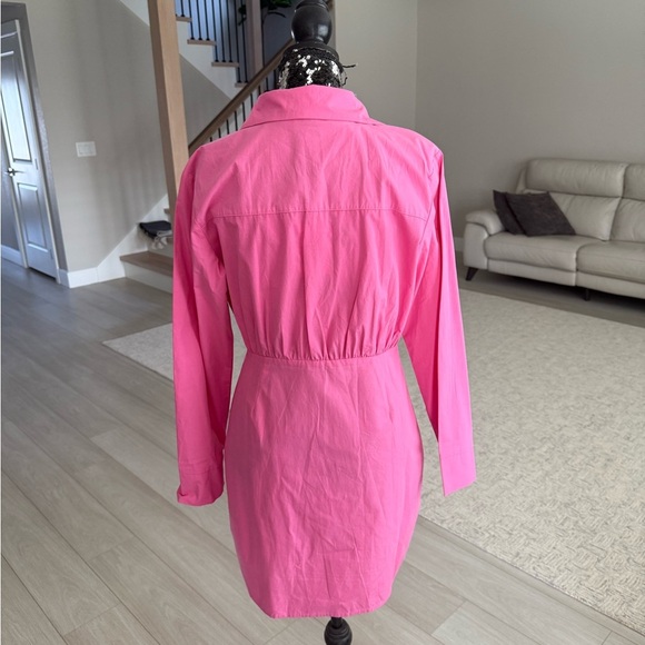 Pink Button-Up Shirt Dress - Picture 4 of 6